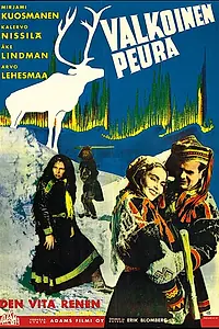 Главный постер фильма «Белый олень (1952)»
