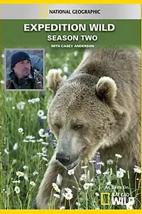 Главный постер сериала «Кейси и Брут: В мире медведей (2010 - 2014)»