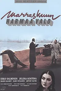 Главный постер фильма «Серый свет ноября (1993)»