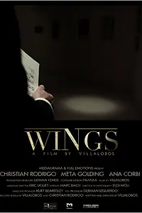 Постер к фильму «Wings (2013)»