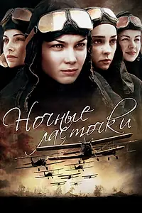 Постер к сериалу «Ночные ласточки (2013)»