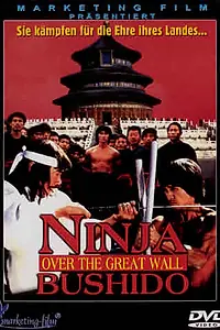Главный постер фильма «Ниндзя на Великой стене (1987)»