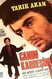 Постер к фильму «Дорогой брат (1973)»