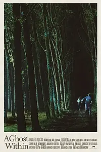 Постер к фильму «Призрак внутри (2013)»