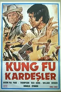 Постер к фильму «Братья кунг-фу на диком западе (1973)»