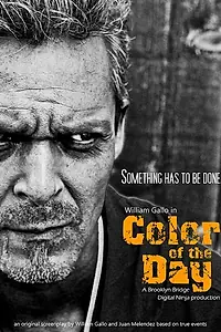 Постер к фильму «Color of the Day»