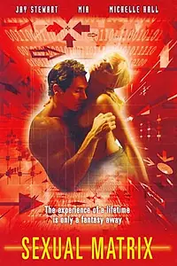 Постер к фильму «Секс-файлы: Секс-матрица (2000)»