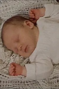 Постер к фильму «Дневник (1972)»