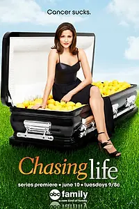 Постер к сериалу «Погоня за жизнью (2014 - 2015)»