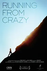 Постер к фильму «Бегство от сумасшедшего (2013)»