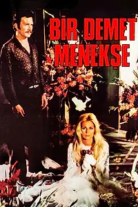 Постер к фильму «Bir Demet Menekse (1973)»