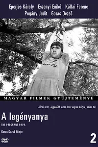 Постер к фильму «A legényanya (1989)»