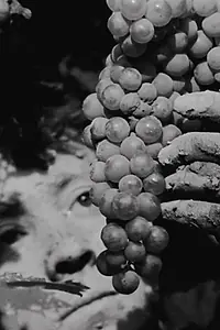 Постер к фильму «Acariño galaico (De barro) (1995)»