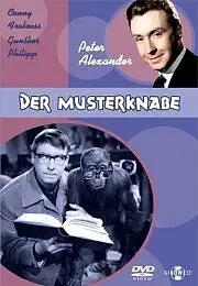 Постер к фильму «Пай-мальчик (1963)»