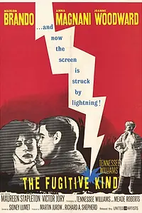 Постер к фильму «Из породы беглецов (1960)»