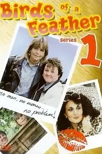 Постер к сериалу «Birds of a Feather (1989 - 2020)»