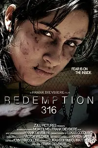 Постер к фильму «Redemption 316 (2012)»
