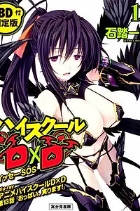 Главный постер аниме «Старшая школа DxD OVA (2012 - 2013)»
