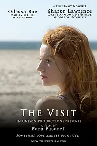 Постер к фильму «The Visit (2012)»