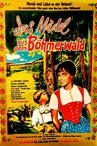 Постер к фильму «Девушка из Шумавы (1965)»