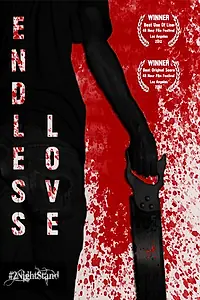 Постер к фильму «Endless Love (2012)»