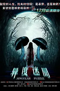 Постер к фильму «Необычная головоломка (2012)»