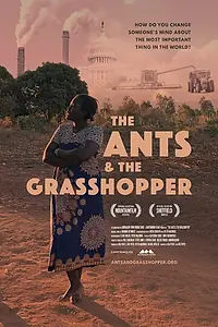 Главный постер фильма «The Ants & the Grasshopper (2021)»