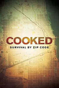Постер к фильму «Cooked: Survival by Zip Code (2019)»