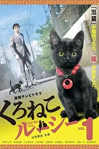 Главный постер сериала «Черная кошка Люси (2012)»