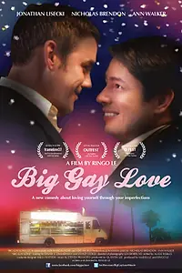 Главный постер фильма «Большая гей-любовь (2013)»