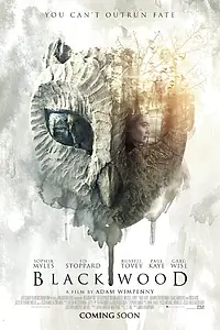 Постер к фильму «Блэквуд (2014)»