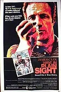 Постер к фильму «Скрой у всех на виду (1980)»