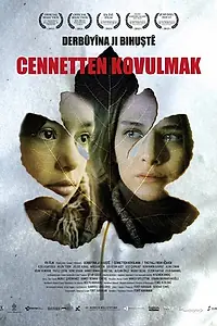 Главный постер фильма «Падение с небес (2013)»