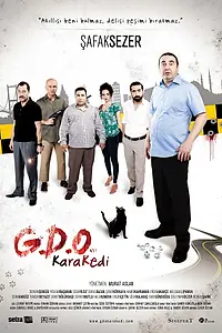 Постер к фильму «Чёрная кошка (2013)»