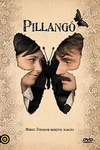 Постер к фильму «Бабочка (2012)»