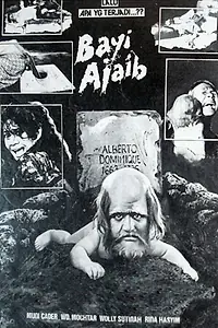 Постер к фильму «Волшебный ребёнок (1982)»