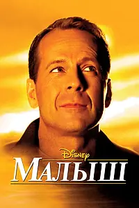 Постер к фильму «Малыш (2000)»