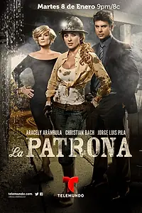Постер к сериалу «Госпожа (2013)»