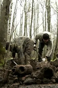 Постер к фильму «Земля (2012)»