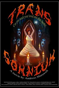Главный постер фильма «Чёрные призраки (2015)»