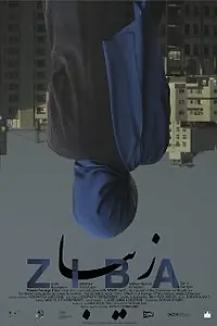 Постер к фильму «Ziba (2012)»