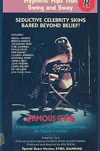 Постер к фильму «Знаменитые T & A (1982)»