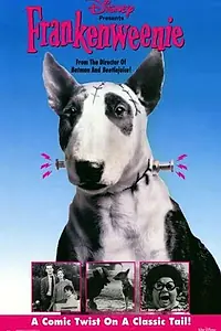 Постер к фильму «Франкенвини (1984)»