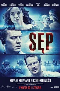 Постер к фильму «Стервятник (2013)»
