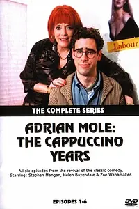Постер к сериалу «Adrian Mole: The Cappuccino Years (2001)»