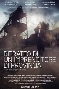 Главный постер фильма «Портрет провинциального предпринимателя (2014)»