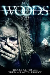 Главный постер фильма «The Woods (2013)»
