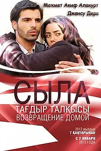 Постер к сериалу «Сыла. Возвращение домой (2006 - 2008)»