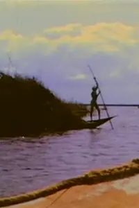 Постер к фильму «Frammenti elettrici n. 5 - Africa (2005)»