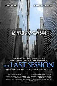 Постер к фильму «The Last Session (2013)»